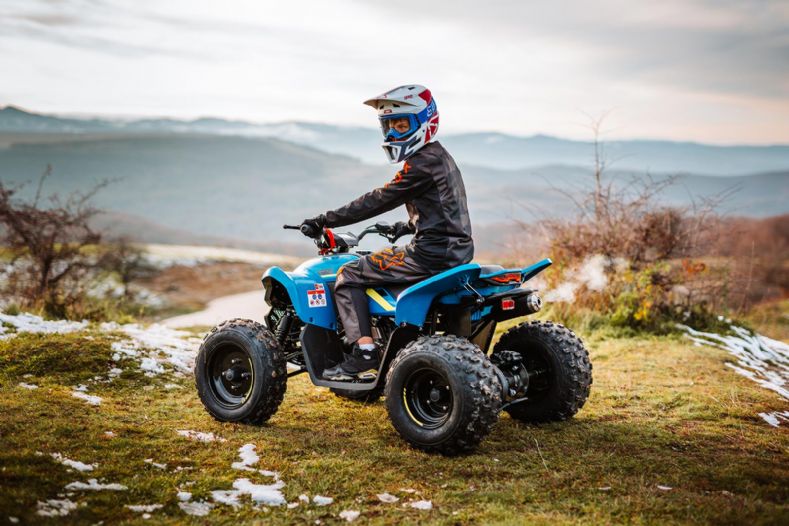 QUADRICICLO CFMOTO CFORCE 110 LV